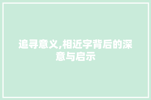 追寻意义,相近字背后的深意与启示