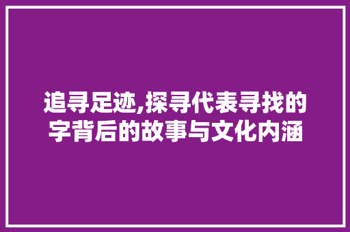 追寻足迹,探寻代表寻找的字背后的故事与文化内涵