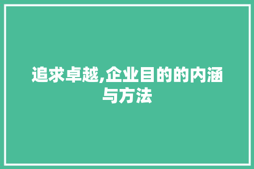 追求卓越,企业目的的内涵与方法