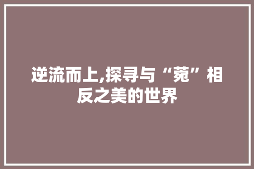 逆流而上,探寻与“菀”相反之美的世界