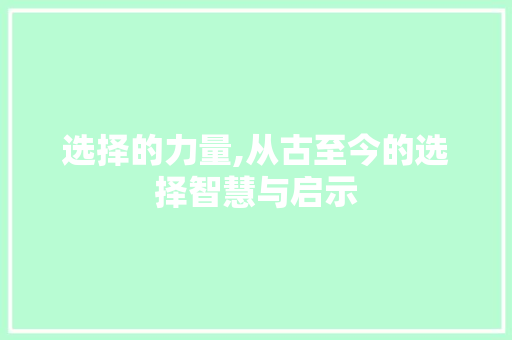 选择的力量,从古至今的选择智慧与启示