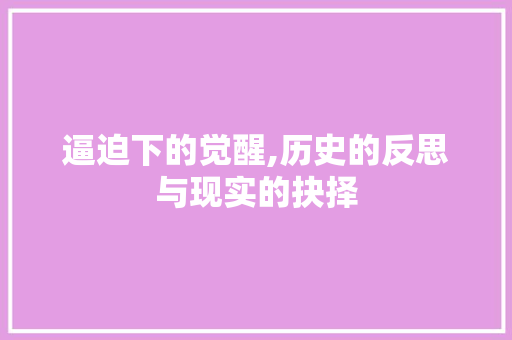 逼迫下的觉醒,历史的反思与现实的抉择