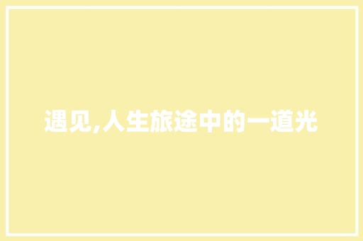遇见,人生旅途中的一道光