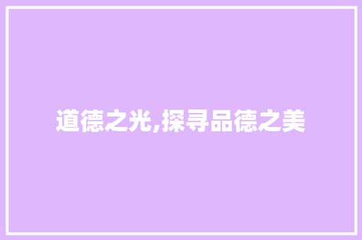道德之光,探寻品德之美