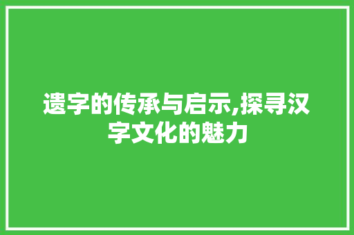 遗字的传承与启示,探寻汉字文化的魅力