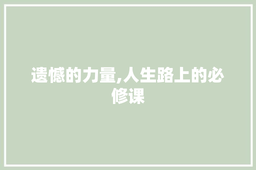 遗憾的力量,人生路上的必修课