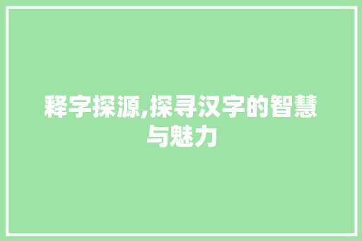 释字探源,探寻汉字的智慧与魅力
