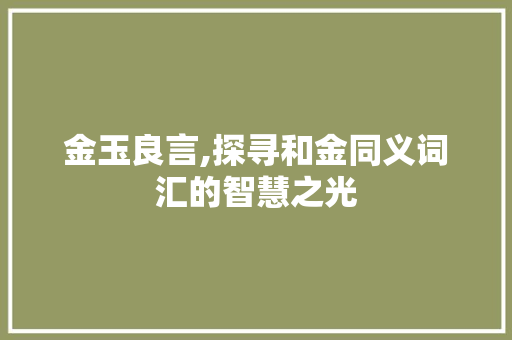 金玉良言,探寻和金同义词汇的智慧之光