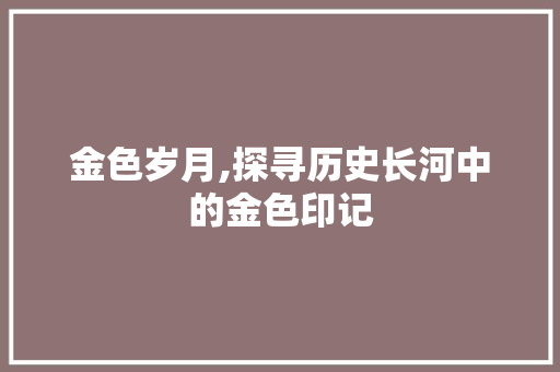 金色岁月,探寻历史长河中的金色印记