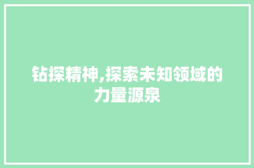 钻探精神,探索未知领域的力量源泉
