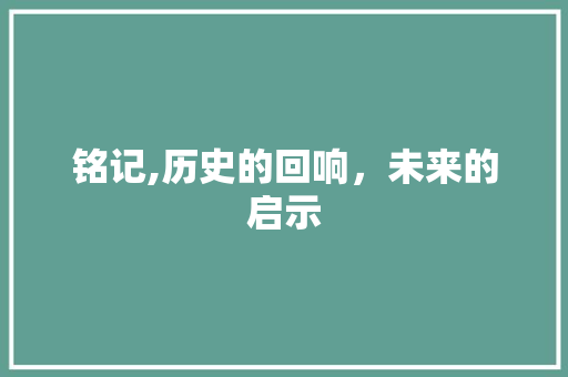 铭记,历史的回响，未来的启示