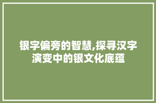 银字偏旁的智慧,探寻汉字演变中的银文化底蕴