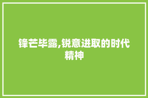 锋芒毕露,锐意进取的时代精神