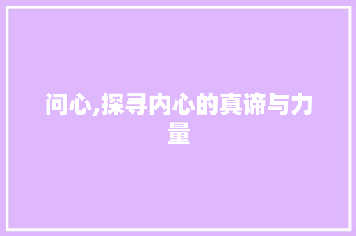 问心,探寻内心的真谛与力量