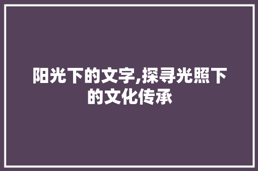 阳光下的文字,探寻光照下的文化传承