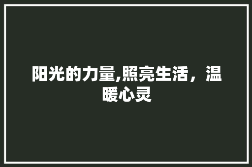 阳光的力量,照亮生活，温暖心灵