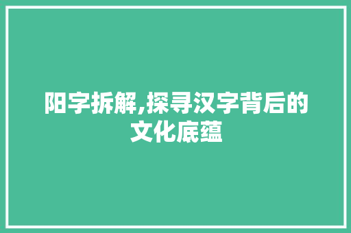 阳字拆解,探寻汉字背后的文化底蕴