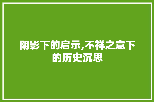 阴影下的启示,不祥之意下的历史沉思
