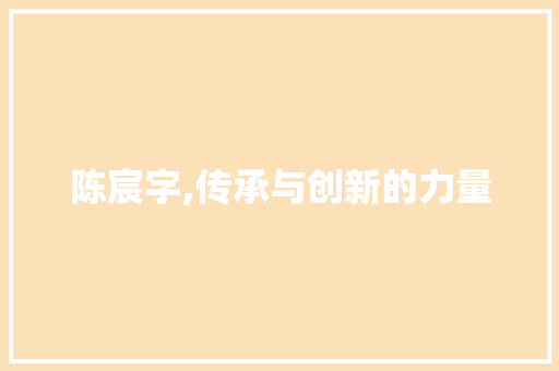 陈宸字,传承与创新的力量