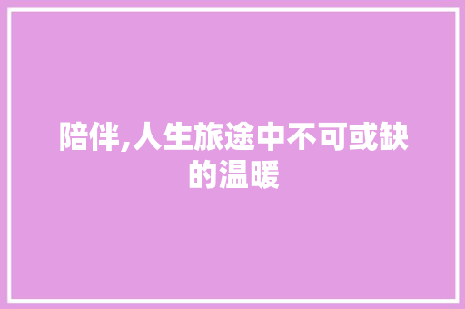陪伴,人生旅途中不可或缺的温暖