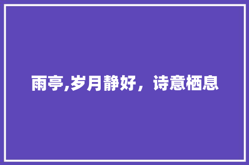 雨亭,岁月静好，诗意栖息