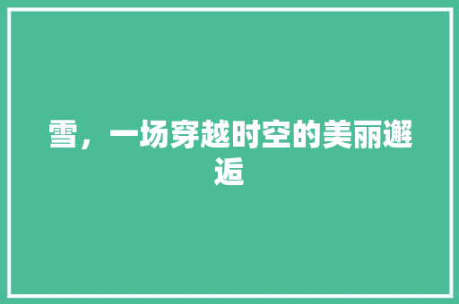 雪，一场穿越时空的美丽邂逅