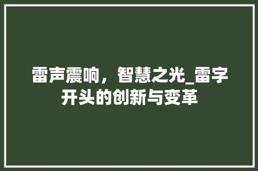雷声震响，智慧之光_雷字开头的创新与变革
