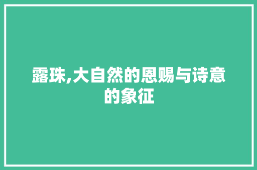 露珠,大自然的恩赐与诗意的象征