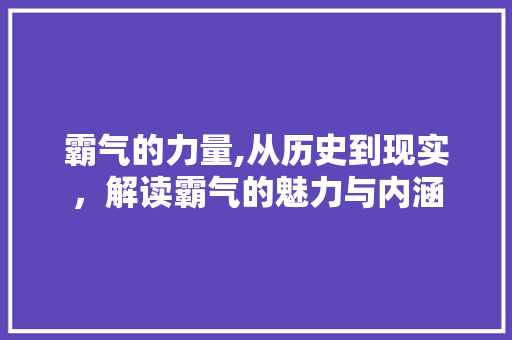 霸气的力量,从历史到现实，解读霸气的魅力与内涵