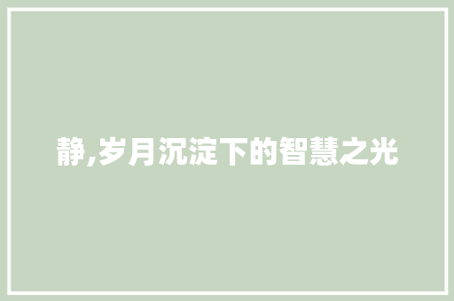 静,岁月沉淀下的智慧之光