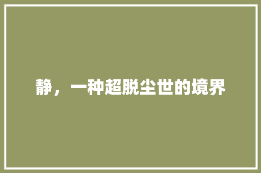 静，一种超脱尘世的境界
