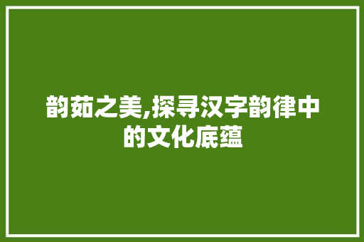 韵茹之美,探寻汉字韵律中的文化底蕴
