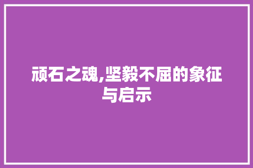 顽石之魂,坚毅不屈的象征与启示