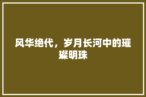风华绝代，岁月长河中的璀璨明珠