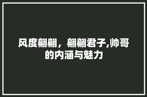 风度翩翩，翩翩君子,帅哥的内涵与魅力