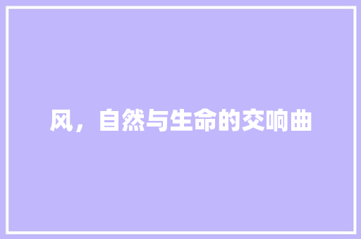 风，自然与生命的交响曲