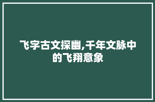 飞字古文探幽,千年文脉中的飞翔意象