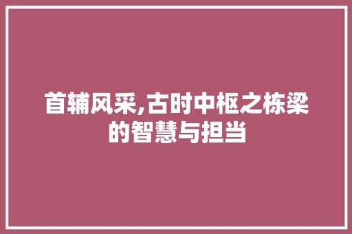 首辅风采,古时中枢之栋梁的智慧与担当
