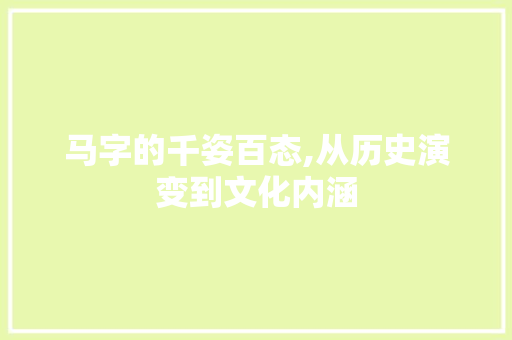 马字的千姿百态,从历史演变到文化内涵