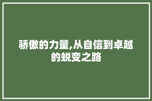 骄傲的力量,从自信到卓越的蜕变之路