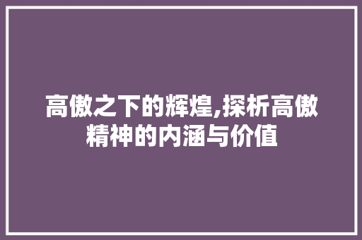 高傲之下的辉煌,探析高傲精神的内涵与价值