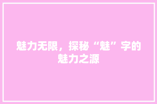 魅力无限，探秘“魅”字的魅力之源