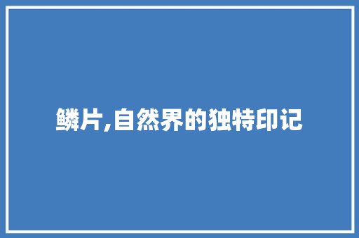鳞片,自然界的独特印记