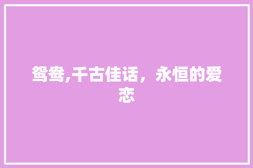 鸳鸯,千古佳话，永恒的爱恋