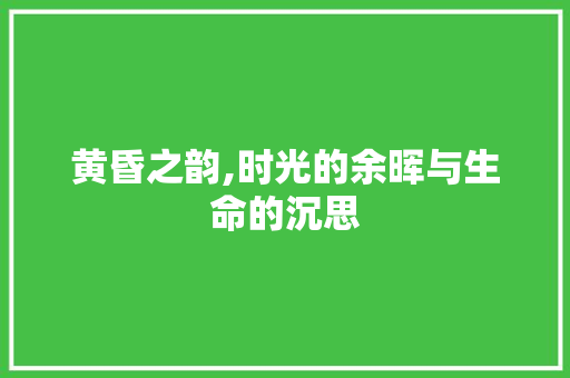黄昏之韵,时光的余晖与生命的沉思