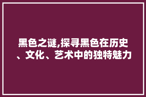 黑色之谜,探寻黑色在历史、文化、艺术中的独特魅力