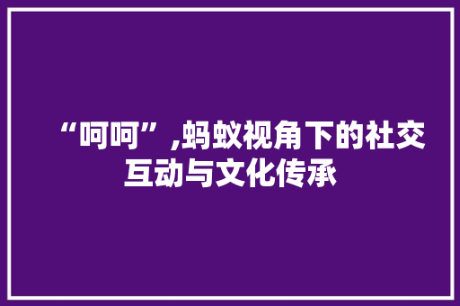 “呵呵”,蚂蚁视角下的社交互动与文化传承