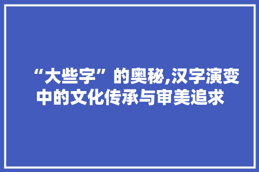 “大些字”的奥秘,汉字演变中的文化传承与审美追求