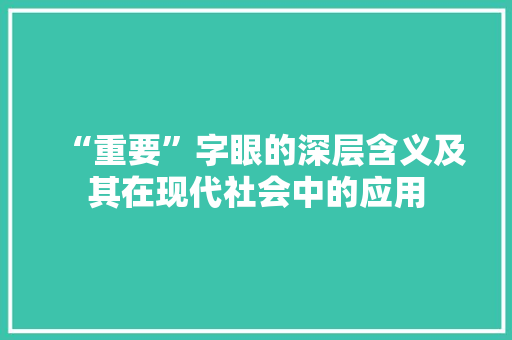 “重要”字眼的深层含义及其在现代社会中的应用