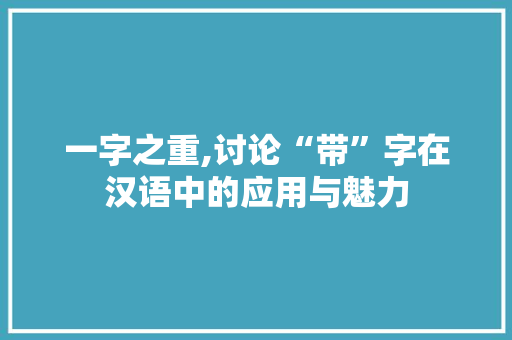 一字之重,讨论“带”字在汉语中的应用与魅力
